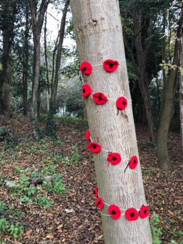 Knitted Poppies decorating a nearby tree